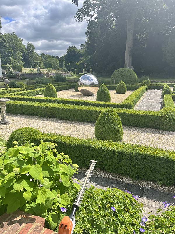 Hedges cut in a maze, by Mulberry Tree Services in Winchester