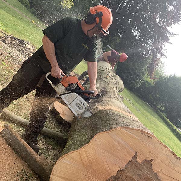 Brian Roscoe, of Mulberry Tree Services in Winchester, cutting the trunk of a felled tree